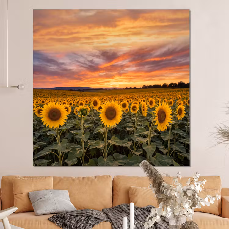 Forex - Zonnebloemen - Heuvellandschap - Geel — 4