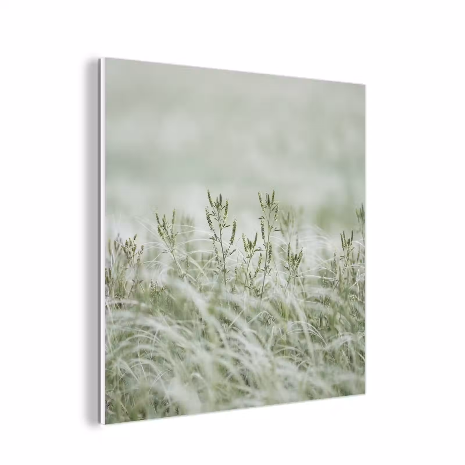 Forex - Grassen - Minimalistisch - Groen — 1