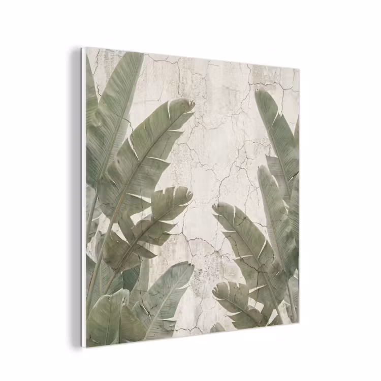 Forex - Bananenbladeren - Beton - Groen — 1