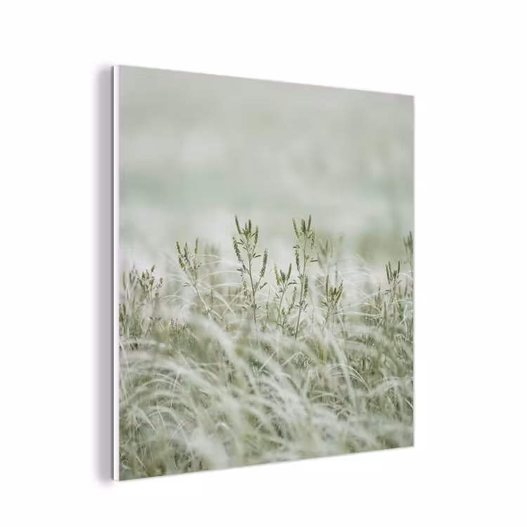 Forex - Grassen - Minimalistisch - Groen — 1