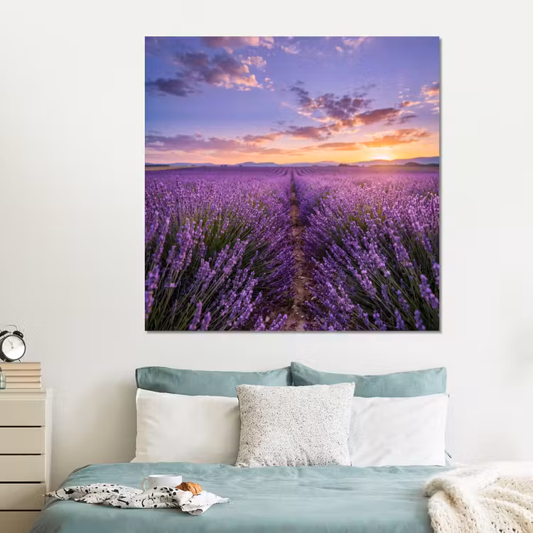 Forex - Lavendel - Veld - Natuur - Paars — 2