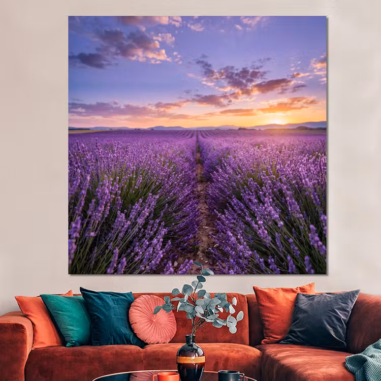 Forex - Lavendel - Veld - Natuur - Paars — 3