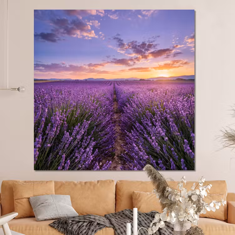 Forex - Lavendel - Veld - Natuur - Paars — 4