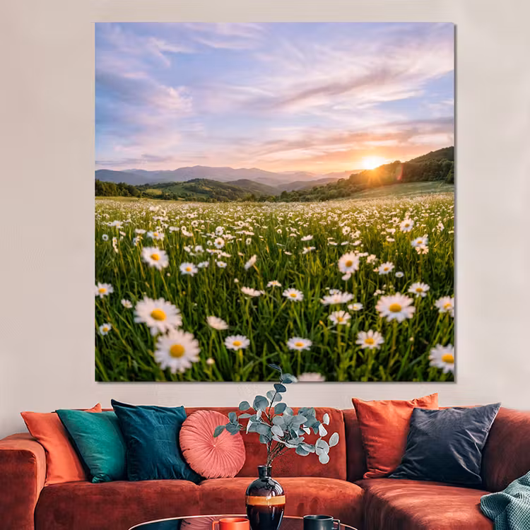 Forex - Madelief - Veld - Heuvels - Groen — 3