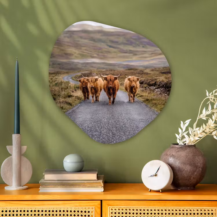 Organische schilderij - Aluminium - Schotse Hooglanders - Weg - Landschap - Kudde — 2
