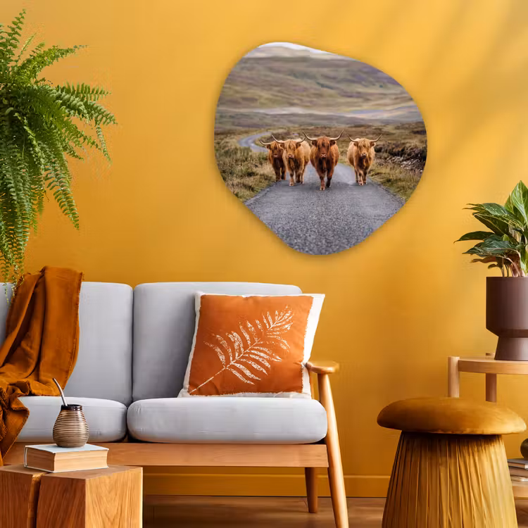 Organische schilderij - Aluminium - Schotse Hooglanders - Weg - Landschap - Kudde — 3