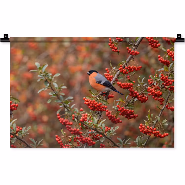 Wandkleed - Goudvink - Bessen - Herfst - Natuur - Kleurrijk