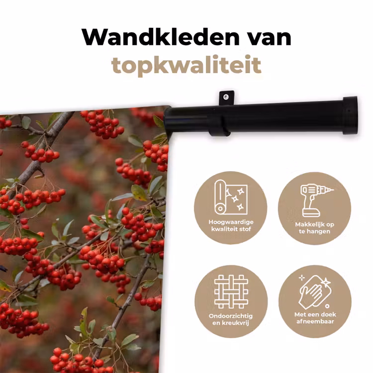 Wandkleed - Goudvink - Bessen - Herfst - Natuur - Kleurrijk — 3