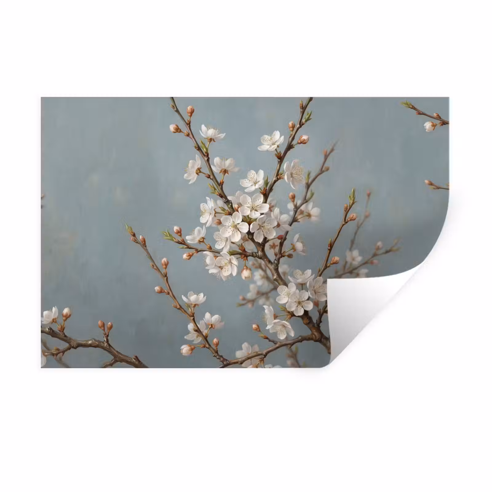 Muursticker - Botanisch - Stilleven - Blauw — 1