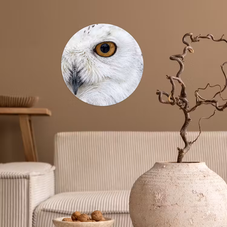 Behangcirkel - Sneeuwuil - Oog - Wildlife - Wit — 2
