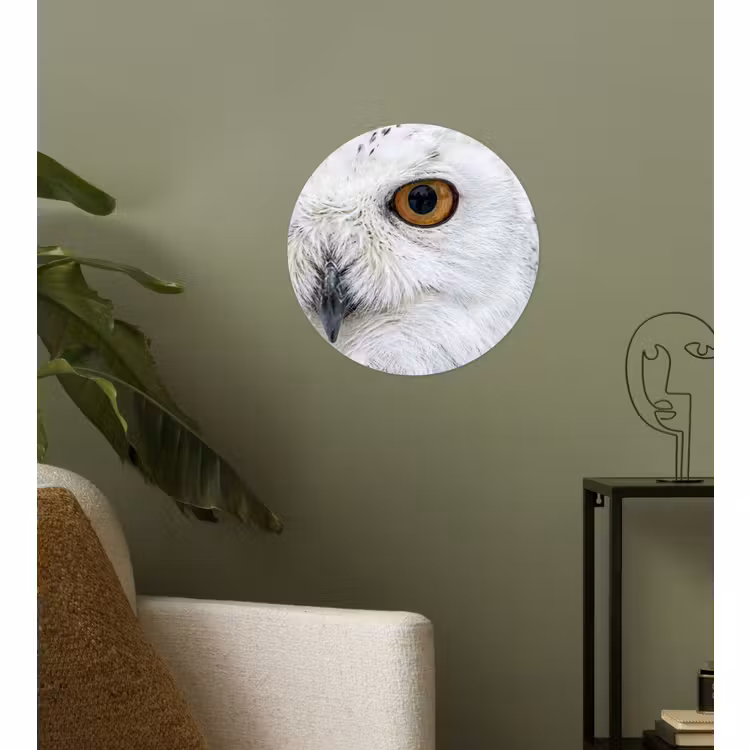Behangcirkel - Sneeuwuil - Oog - Wildlife - Wit — 3