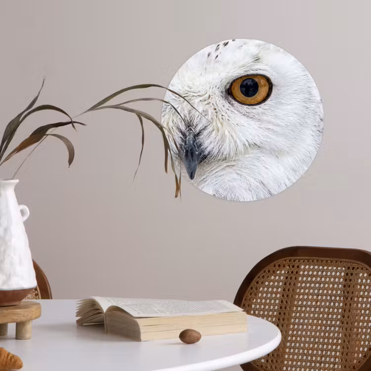 Behangcirkel - Sneeuwuil - Oog - Wildlife - Wit — 4