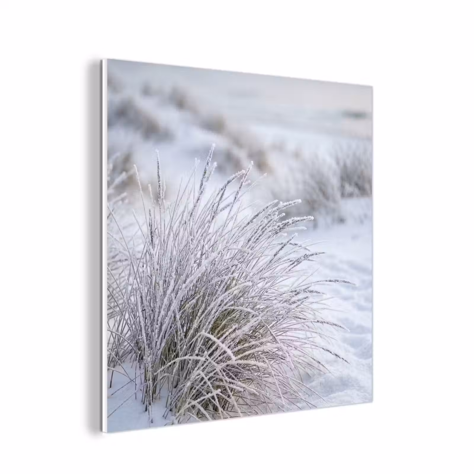 Forex - Duinen - Sneeuw - Strand - Winter - Serene — 1