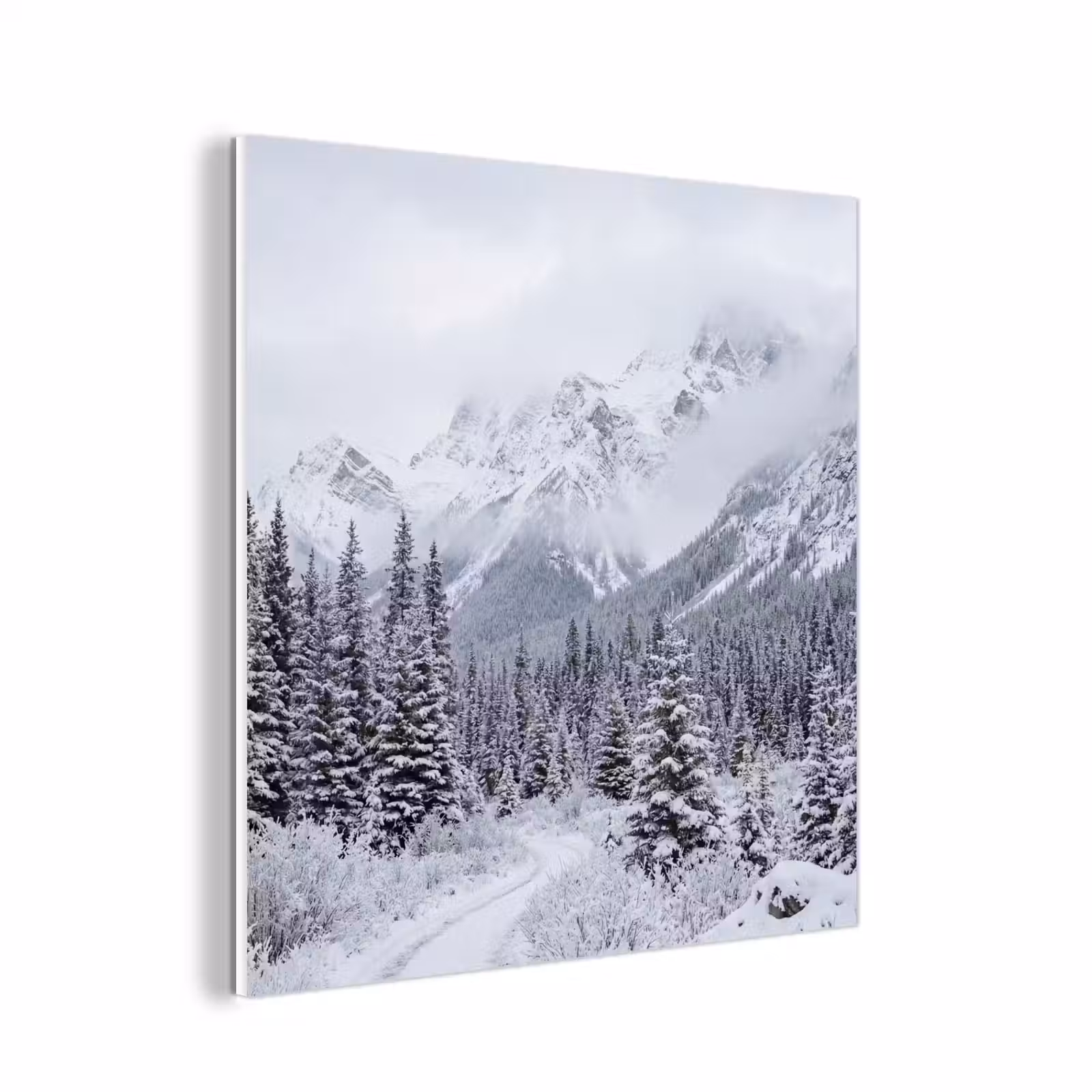 Forex - Weg - Bergen - Sneeuw - Naaldbos - Avontuurlijk — 1