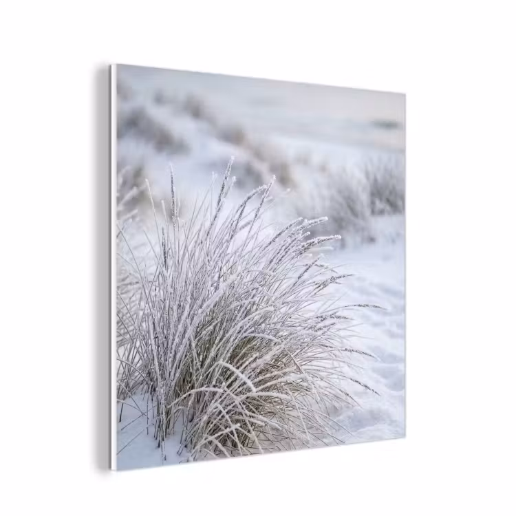 Forex - Duinen - Sneeuw - Strand - Winter - Serene — 1
