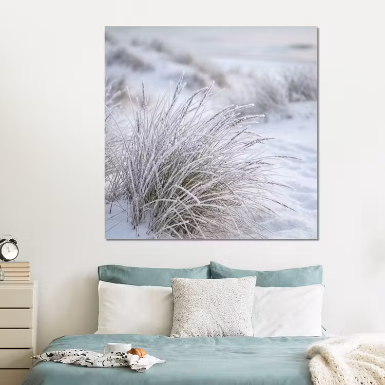 Forex - Duinen - Sneeuw - Strand - Winter - Serene — 2