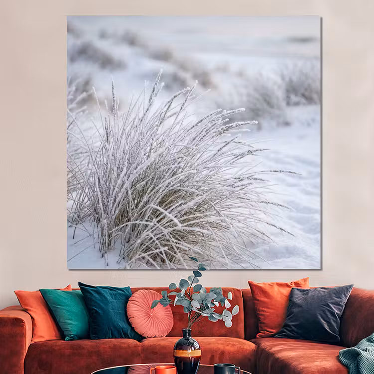 Forex - Duinen - Sneeuw - Strand - Winter - Serene — 3