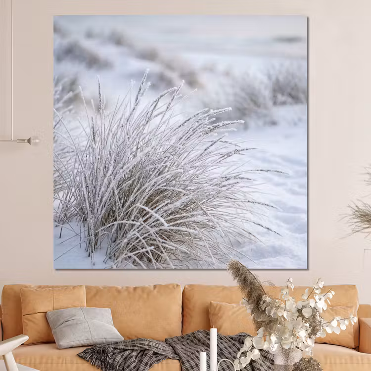 Forex - Duinen - Sneeuw - Strand - Winter - Serene — 4