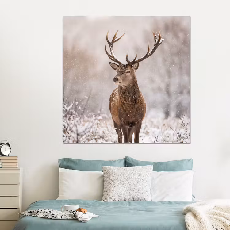 Forex - Edelhert - Bos - Sneeuw - Winter - Majestueus — 2