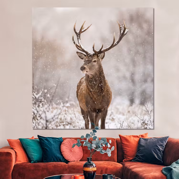 Forex - Edelhert - Bos - Sneeuw - Winter - Majestueus — 3