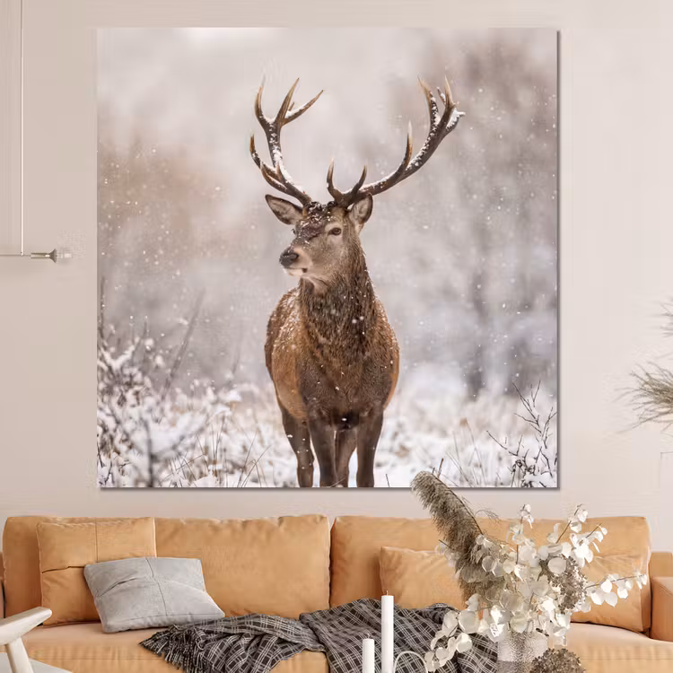 Forex - Edelhert - Bos - Sneeuw - Winter - Majestueus — 4