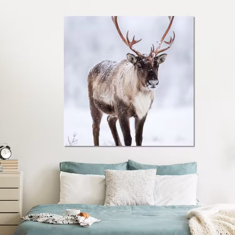 Forex - Rendier - Gewei - Toendra - Sneeuw - Wild — 2