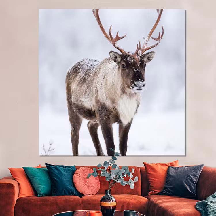 Forex - Rendier - Gewei - Toendra - Sneeuw - Wild — 3