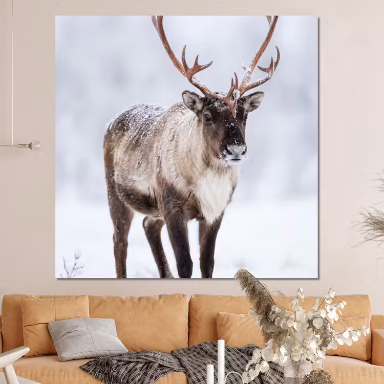Forex - Rendier - Gewei - Toendra - Sneeuw - Wild — 4