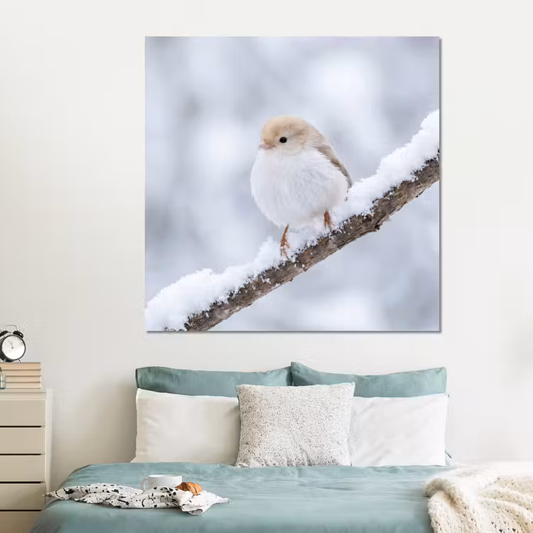 Forex - Vogeltje - Sneeuw - Tak - Winter - Zacht — 2