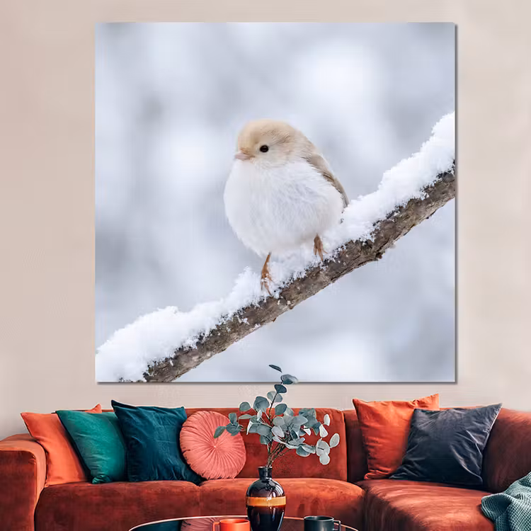 Forex - Vogeltje - Sneeuw - Tak - Winter - Zacht — 3