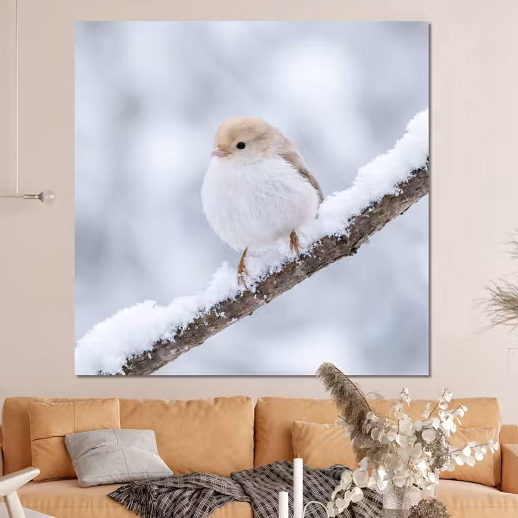 Forex - Vogeltje - Sneeuw - Tak - Winter - Zacht — 4