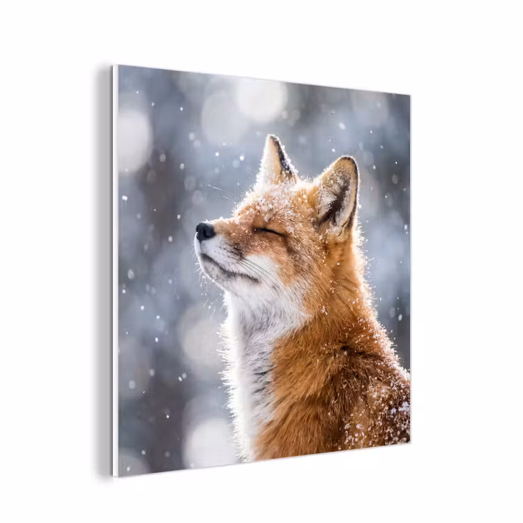 Forex - Vos - Sneeuwval - Portret - Winter - Sfeervol — 1