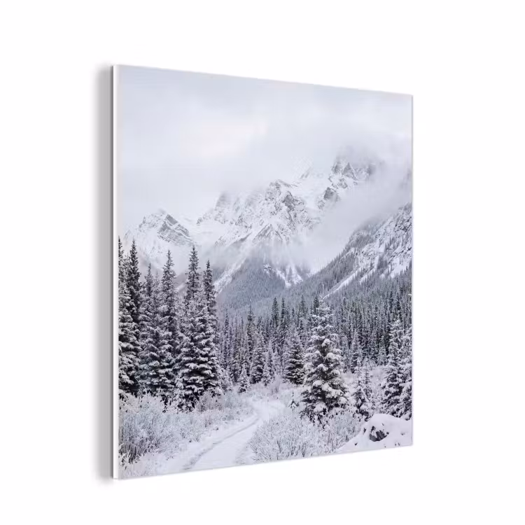 Forex - Weg - Bergen - Sneeuw - Naaldbos - Avontuurlijk — 1