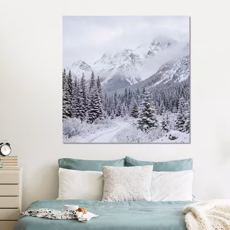 Forex - Weg - Bergen - Sneeuw - Naaldbos - Avontuurlijk — 2
