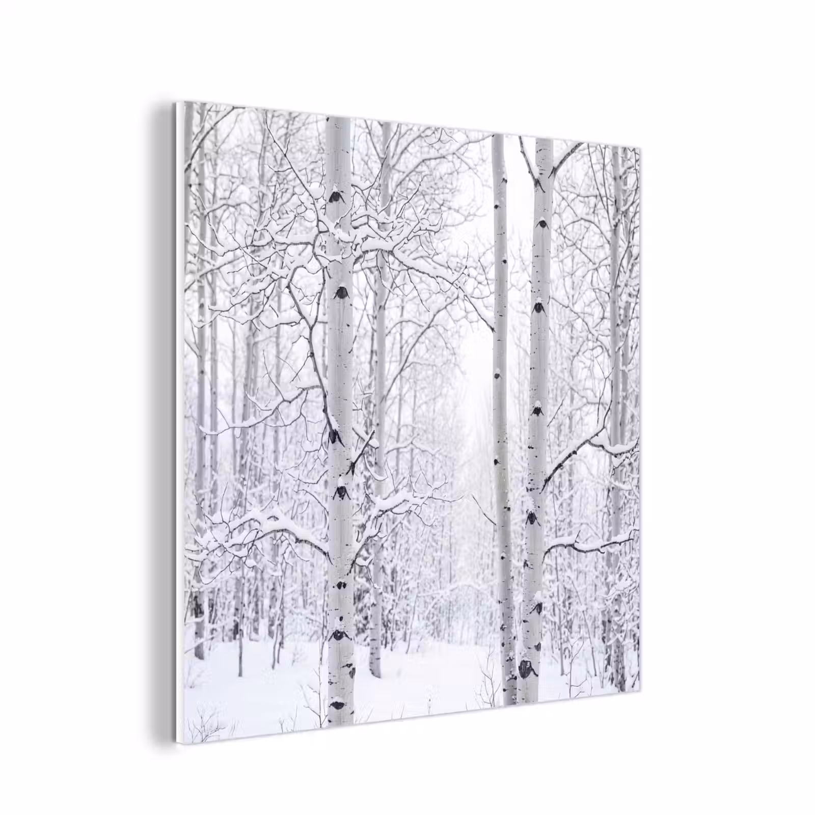 Forex - Berkenbomen - Sneeuw - Winter - Bos - Wit — 1