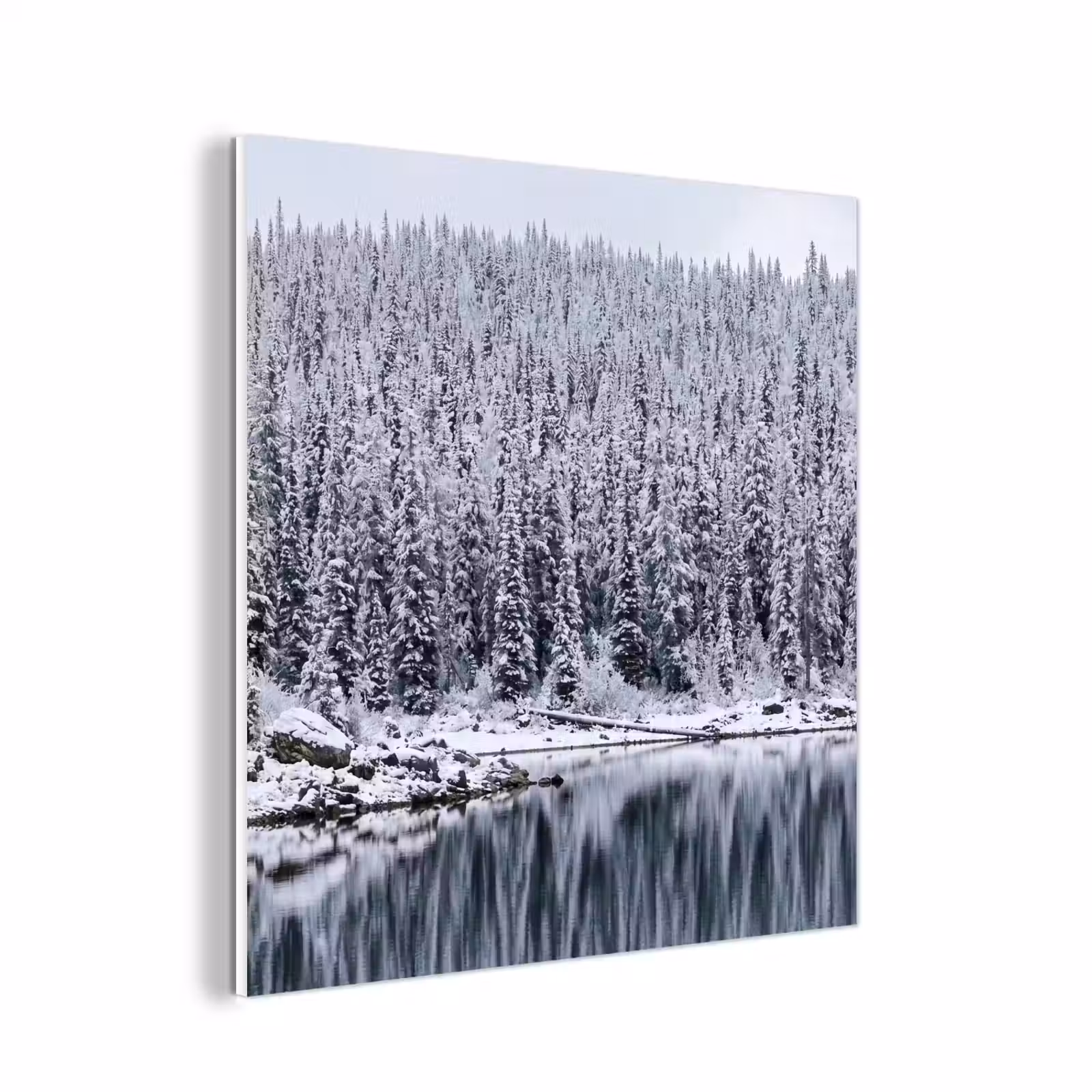 Forex - Bos - Reflectie - Meer - Winter - Serene — 1