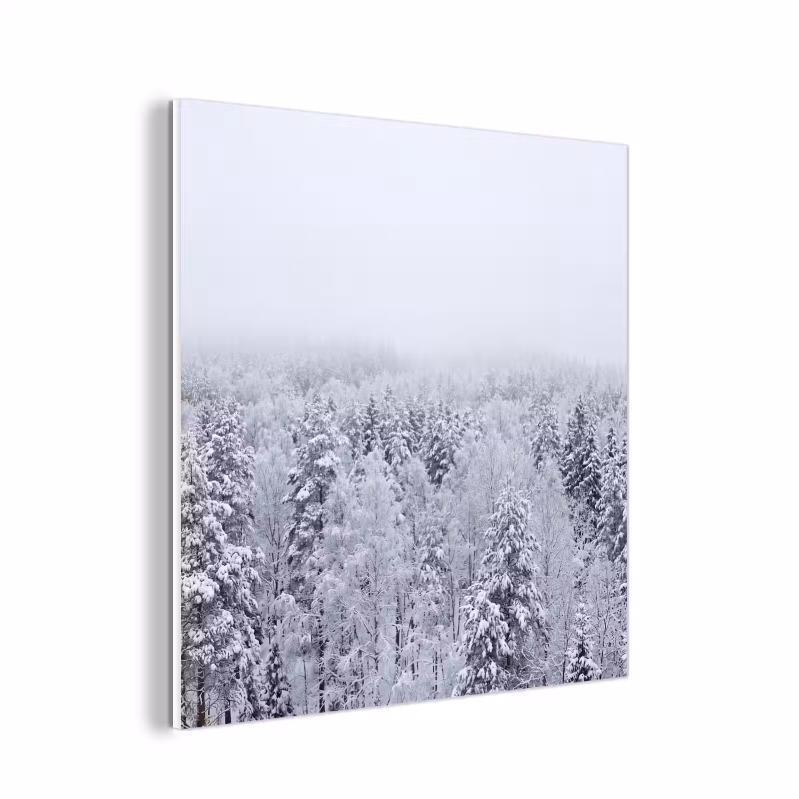 Forex - Bos - Sneeuw - Winter - Natuur - Wit — 1