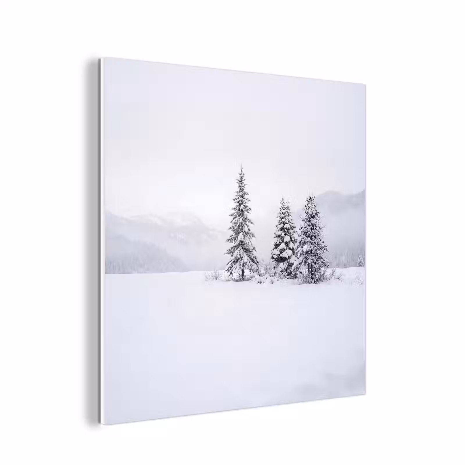 Forex - Fijnsparren - Sneeuw - Winter - Landschap - Stilte — 1