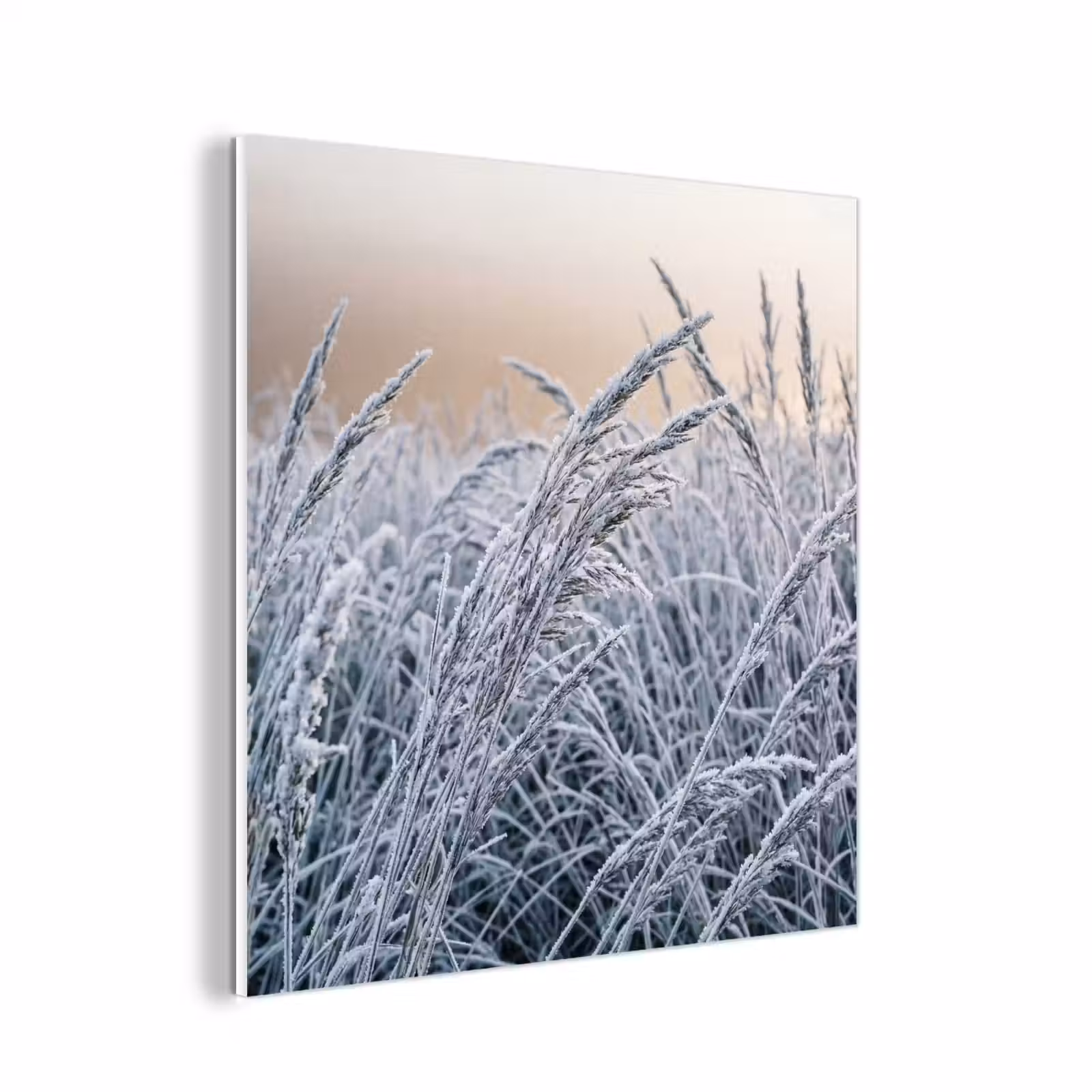 Forex - Rijp - Gras - Kristallen - Winter - Minimalistisch — 1