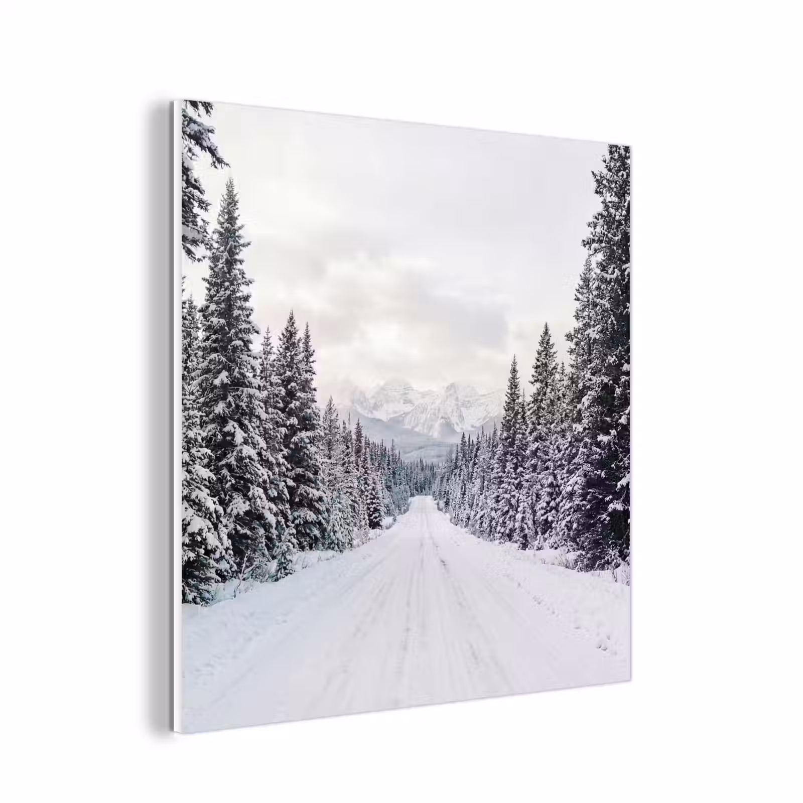Forex - Weg - Sneeuw - Naaldbos - Winter - Avontuurlijk — 1