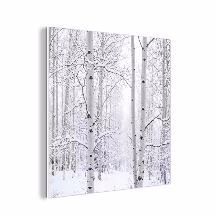 Forex - Berkenbomen - Sneeuw - Winter - Bos - Wit — 1