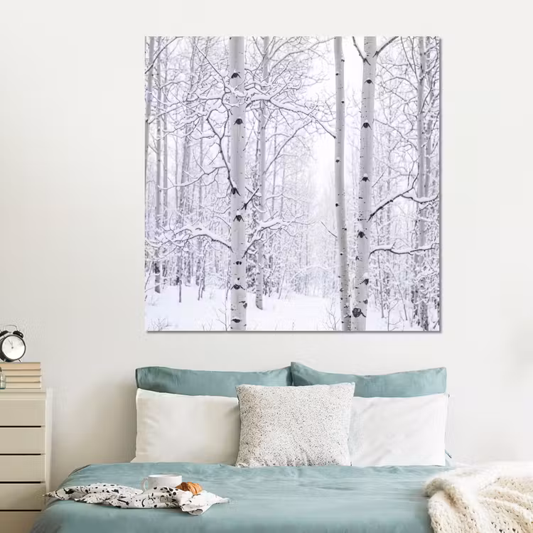 Forex - Berkenbomen - Sneeuw - Winter - Bos - Wit — 2