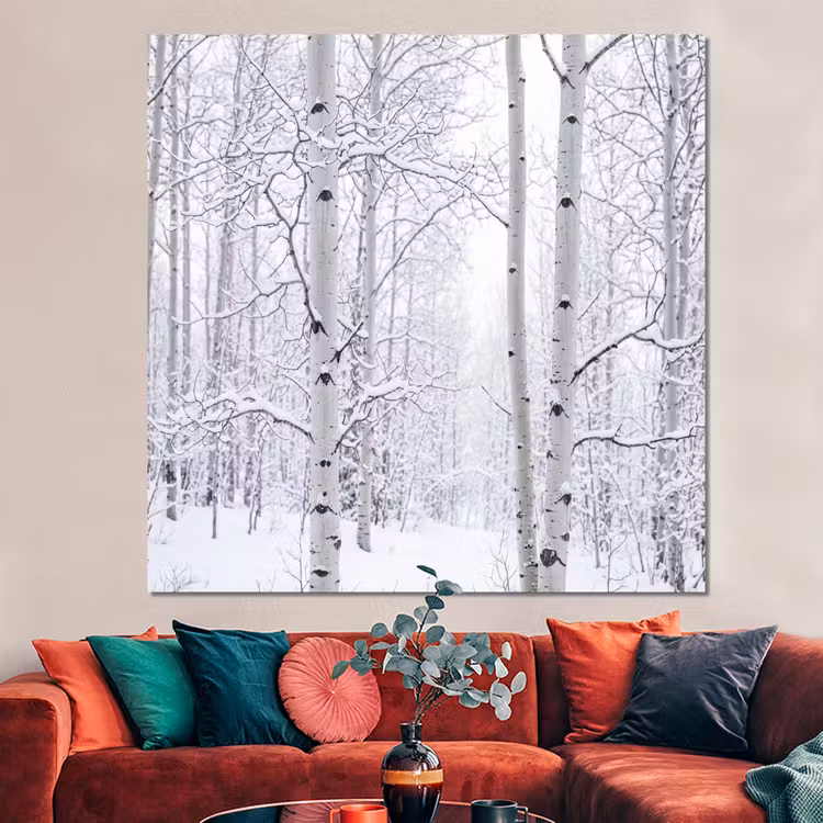 Forex - Berkenbomen - Sneeuw - Winter - Bos - Wit — 3