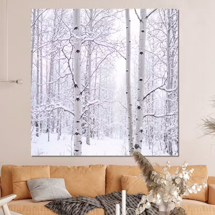 Forex - Berkenbomen - Sneeuw - Winter - Bos - Wit — 4