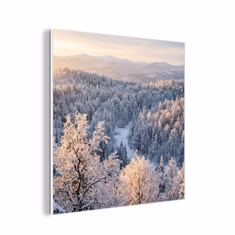 Forex - Bos - Bergen - Goud - Winter - Warm — 1