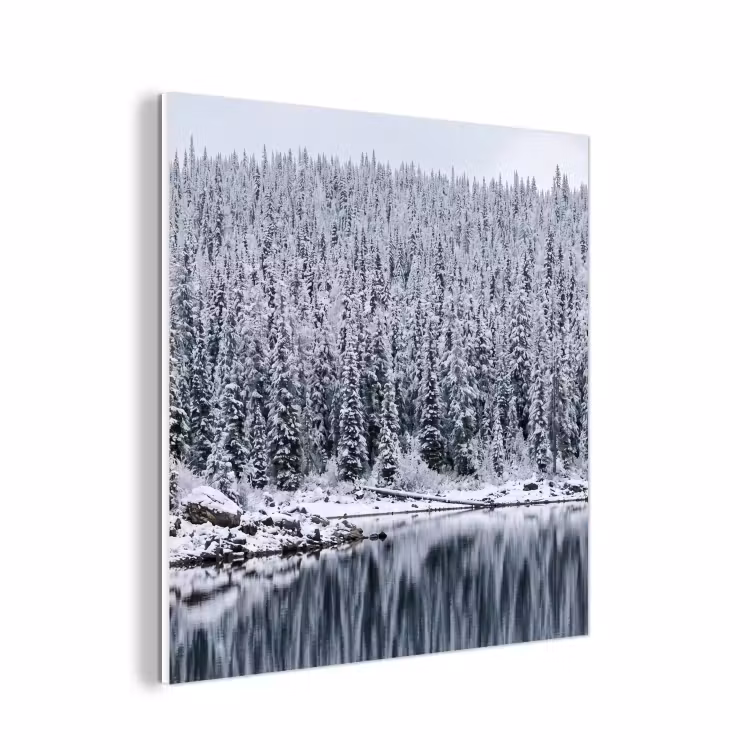 Forex - Bos - Reflectie - Meer - Winter - Serene — 1
