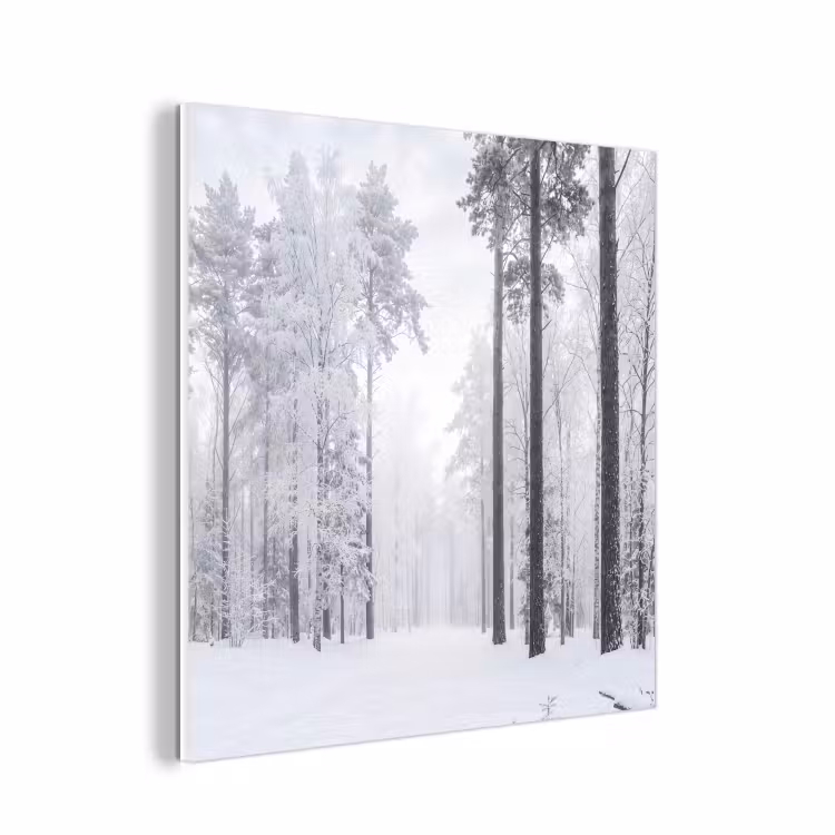 Forex - Bos - Sneeuw - Pad - Winter - Stilte — 1