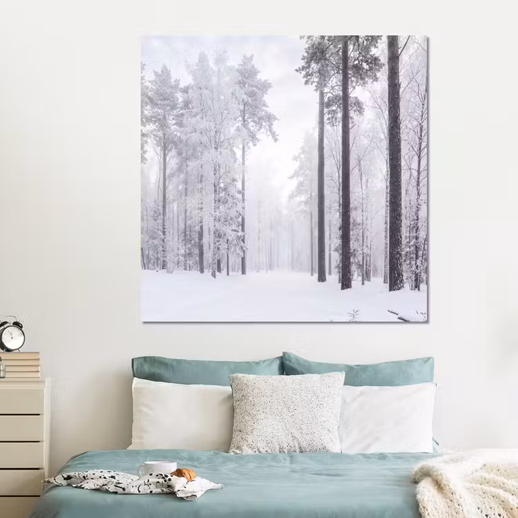 Forex - Bos - Sneeuw - Pad - Winter - Stilte — 2