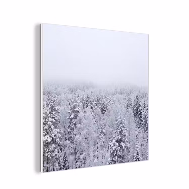Forex - Bos - Sneeuw - Winter - Natuur - Wit — 1