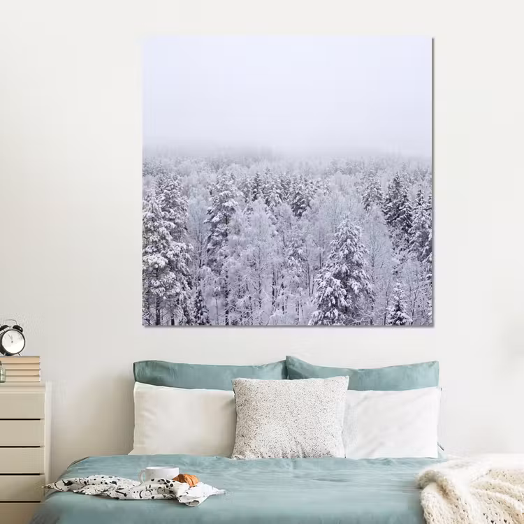 Forex - Bos - Sneeuw - Winter - Natuur - Wit — 2